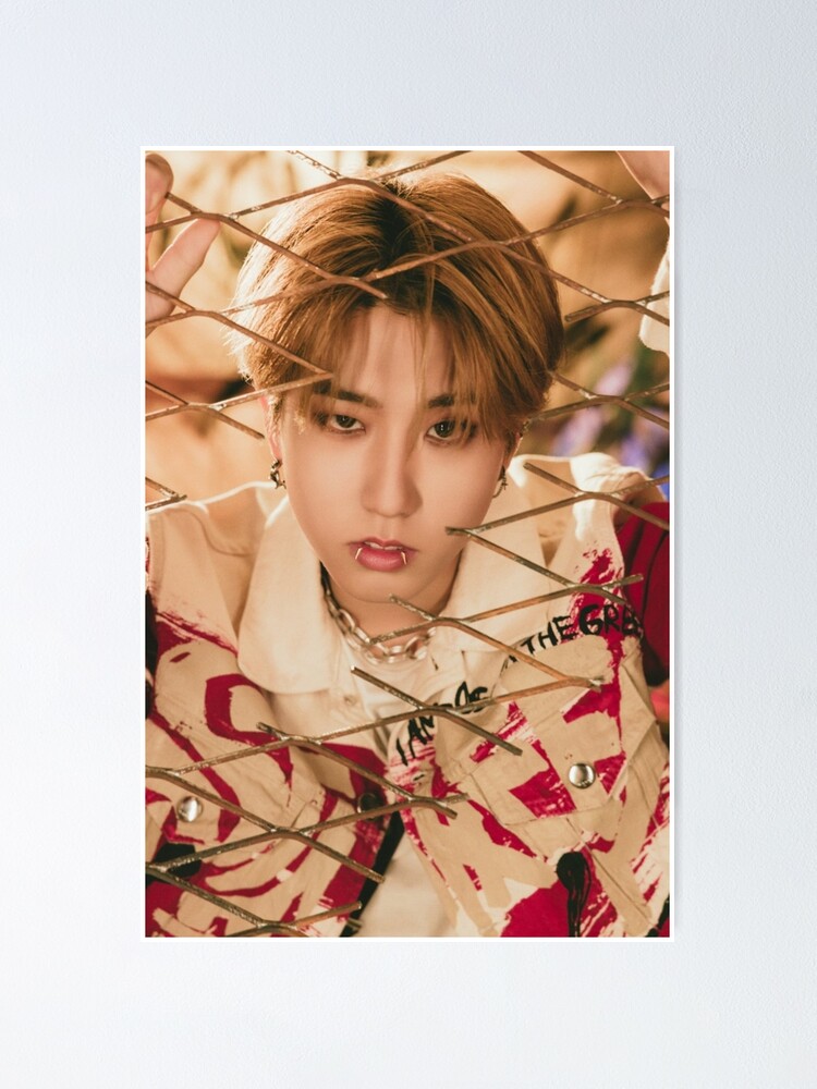 Stray kids Han Scars Japanese album concept photo | Poster