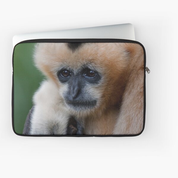White Cheeked Gibbon Laptop Sleeve