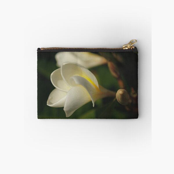 Artikelvorschau, Frangipani entworfen und verkauft von AlexMac.