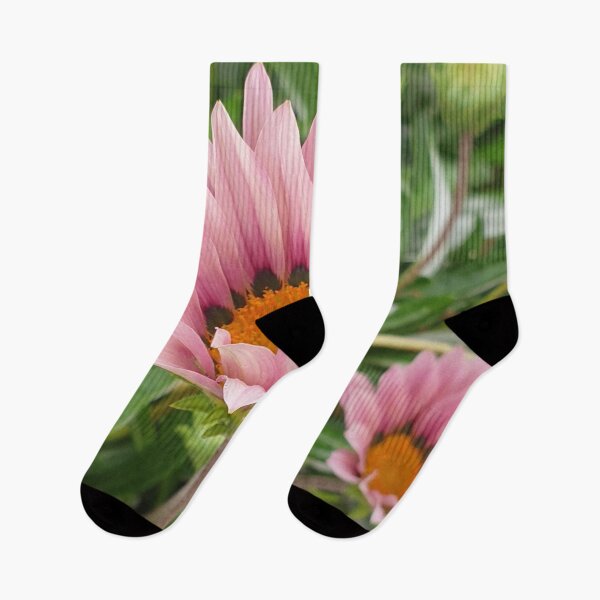 Item preview, Flower with Light Pink Petals and an Orange Center designed and sold by Bennymp.