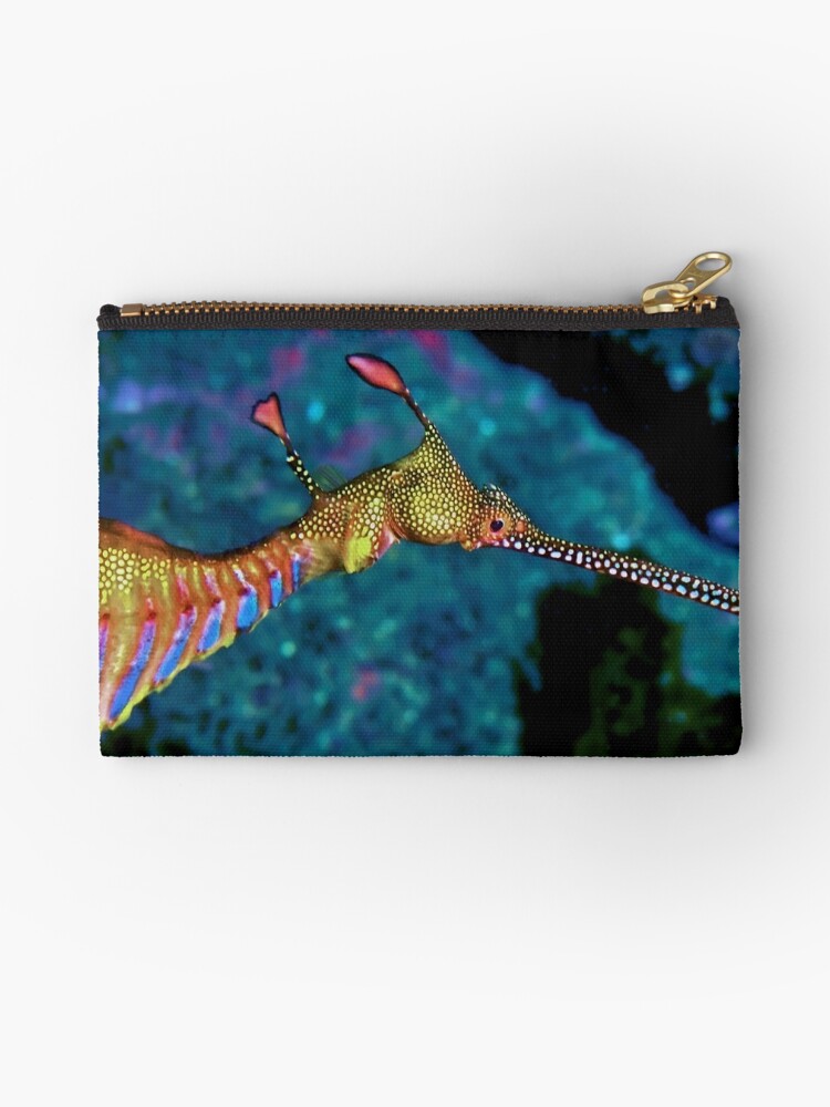 Weedy Sea Dragon Zipper Pouch By Melissaf84 Redbubble