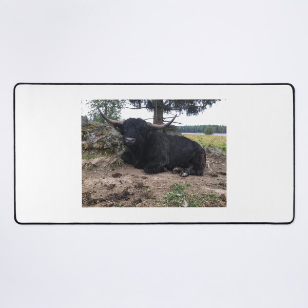 Item preview, Scottish Highland Cattle Calf 2084 designed and sold by SaarelaHighland.