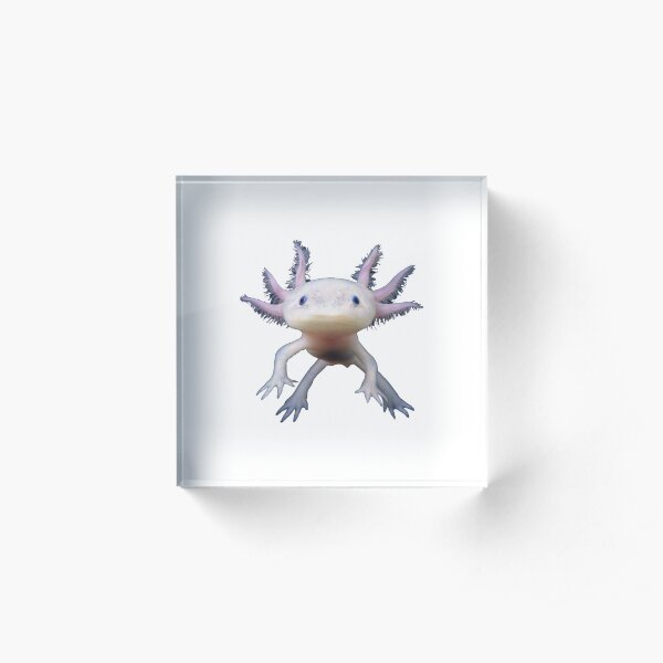 Axolotl Cute Funny Fish Amazing Ambystoma Mexicanum Acrylic Block