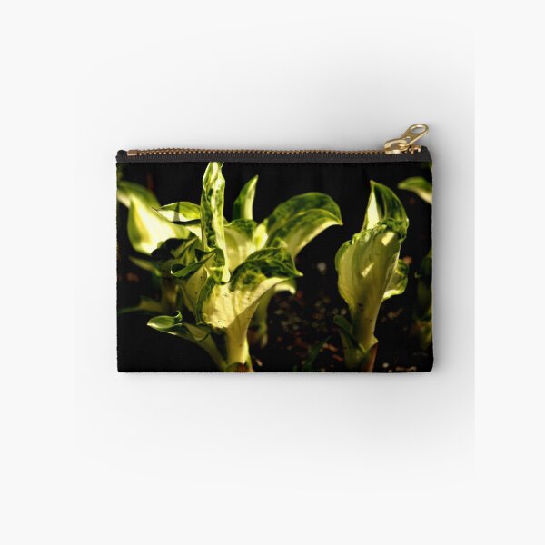 Item preview, First Green designed and sold by terrebo.