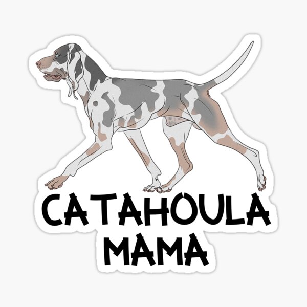 Catahoula Leopard Dog Mom Shirt  Never Stand Between A Girl And Her Catahoula Leopard Dog T Shirt  Catahoula Leopard Dog Gifts