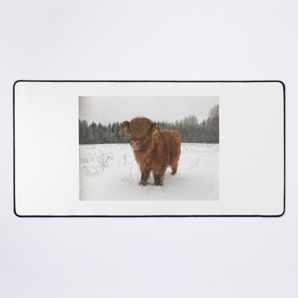 Item preview, Scottish Highland Cattle Calf 1862 designed and sold by SaarelaHighland.