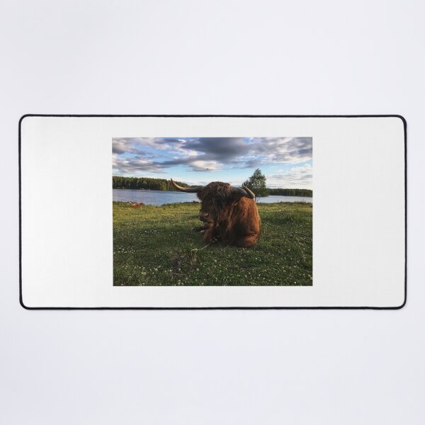 Item preview, Scottish Highland Cattle Bull 1792 designed and sold by SaarelaHighland.