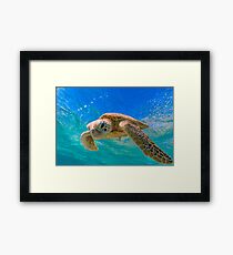 Green Turtle in Magical Water Framed Print
