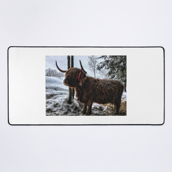 Item preview, Scottish Highland Cattle Cow 1633 designed and sold by SaarelaHighland.