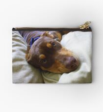 LUXURIATING...on mommie's cream couch! Studio Pouch
