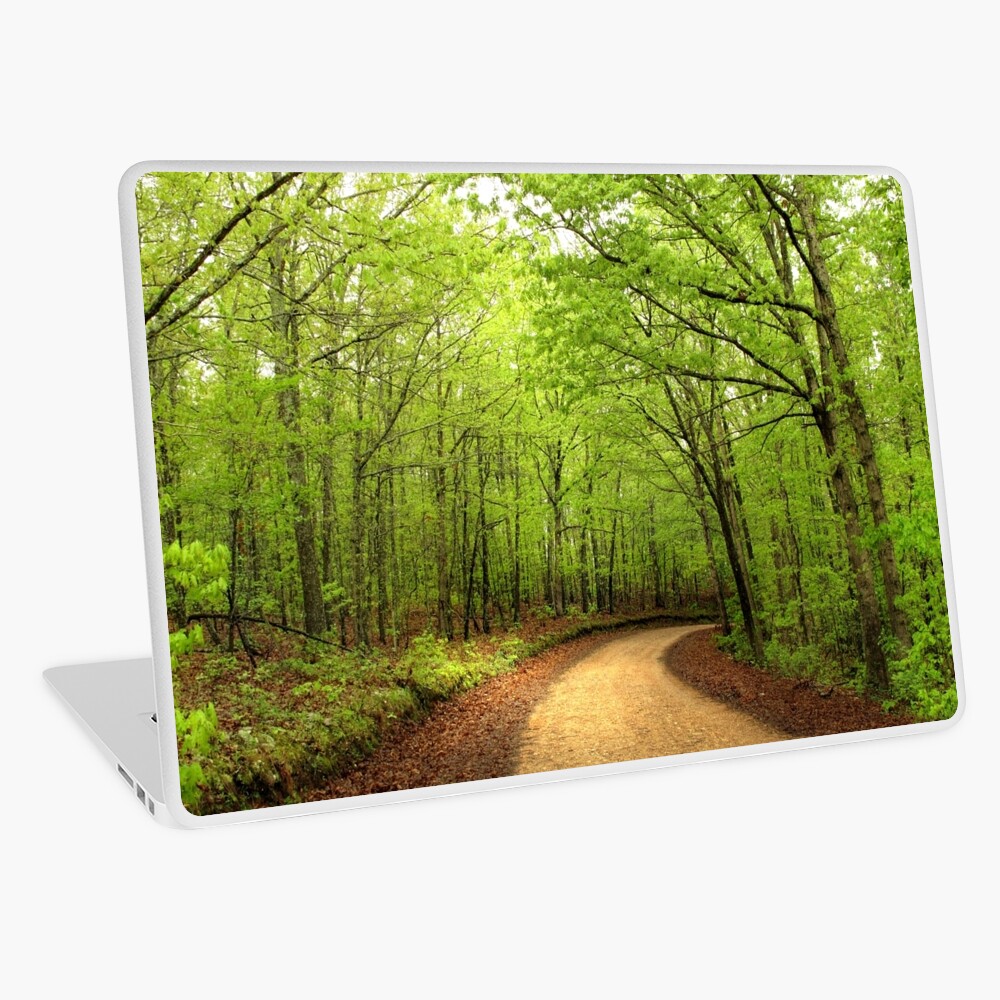 Item preview, Laptop Skin designed and sold by believer9.