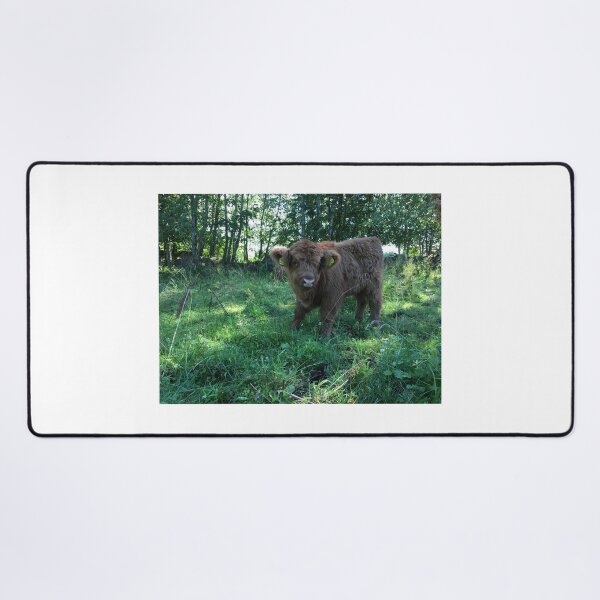 Item preview, Scottish Highland Cattle Calf 1491 designed and sold by SaarelaHighland.