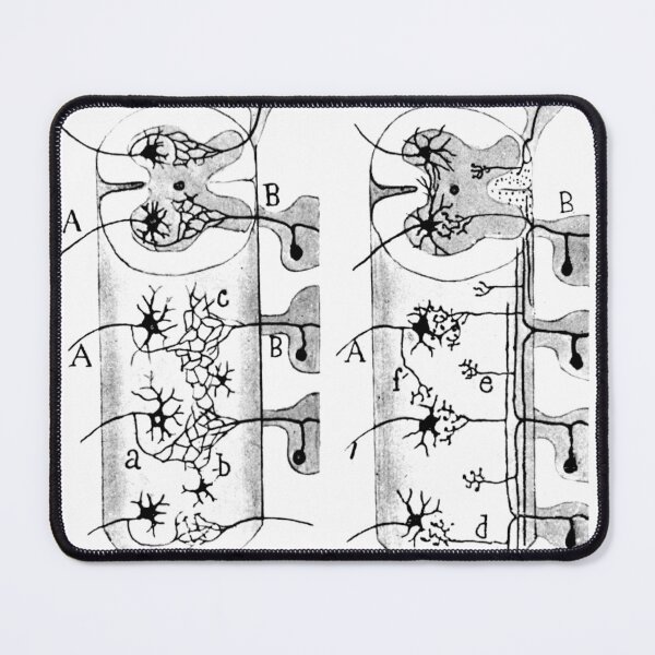 Item preview, Cajal, Neuroglia Cells, 1923 designed and sold by ScienceSource.