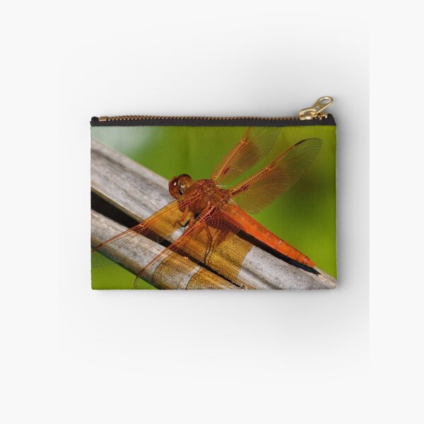Item preview, Lacewing Dragonfly designed and sold by Cheryl  Lunde.