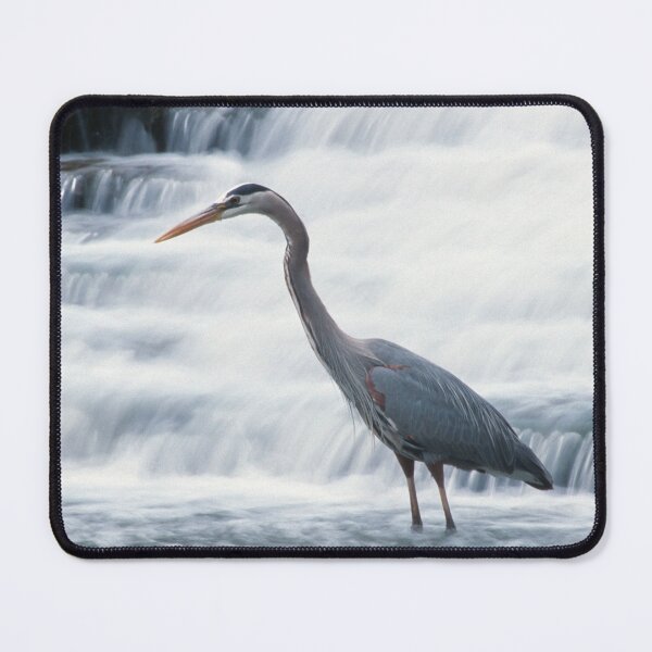Item preview, Great Blue Heron Stalking designed and sold by Bill Spengler's Photographic Thoughts.