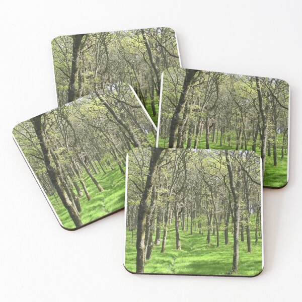 Item preview, Seeing the wood through the trees designed and sold by Louie Gardiner.