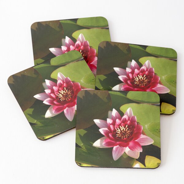 Item preview, Water Lily in bloom designed and sold by Louie Gardiner.