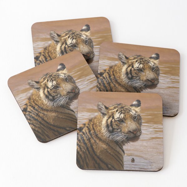 Item preview, Bashful tiger having blissful bath designed and sold by Louie Gardiner.