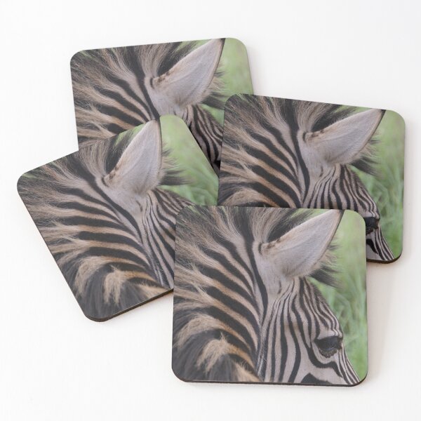 Item preview, Zebra caught shy from behind designed and sold by Louie Gardiner.