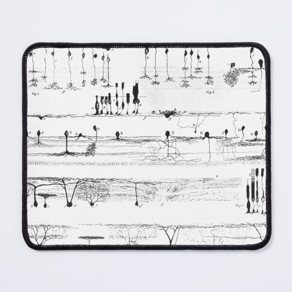 Item preview, Retinal Nerve Structure, Ramón y Cajal, 1923 designed and sold by ScienceSource.