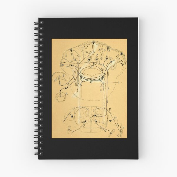 Item preview, Cajal, Brain Vestibular Sensor Connections, 1899 designed and sold by ScienceSource.