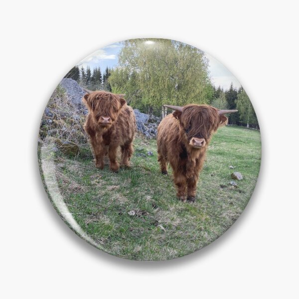 Artikelvorschau, Scottish Highland Cattle Calves 2841 entworfen und verkauft von SaarelaHighland.