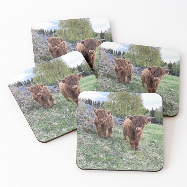 Item preview, Scottish Highland Cattle Calves 2841 designed and sold by SaarelaHighland.