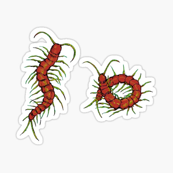 Item preview, Centipedes designed and sold by alyssa schadhauser.