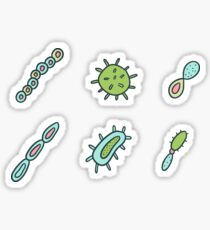 Microbes pattern. Bacteria design for biology lovers. Sticker