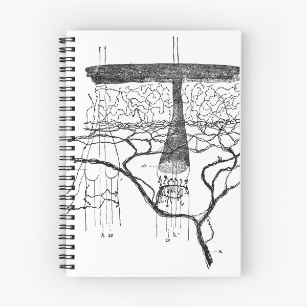 Item preview, Cajal, Rat Nerve Endings, 1899, by Cajal.Santiago Ramón y Cajal  designed and sold by ScienceSource.