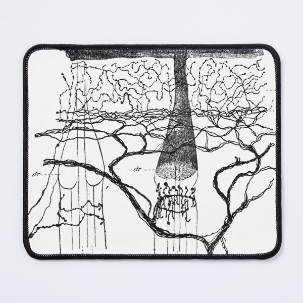 Item preview, Cajal, Rat Nerve Endings, 1899, by Cajal.Santiago Ramón y Cajal  designed and sold by ScienceSource.