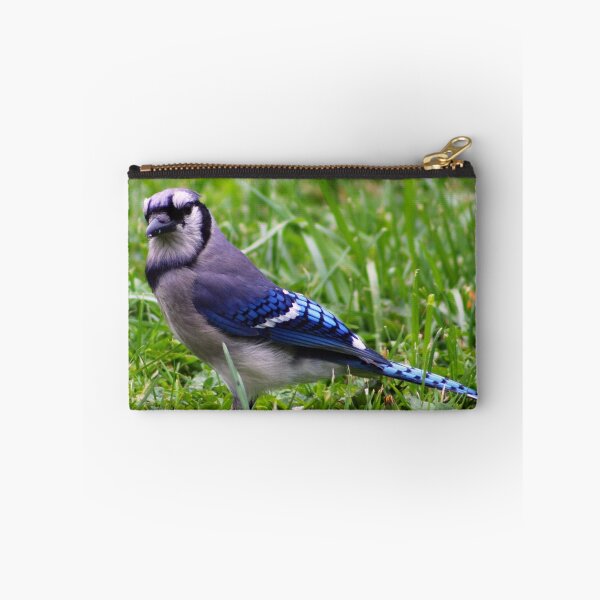 Item preview, *BLUE JAY II* designed and sold by Van Coleman.