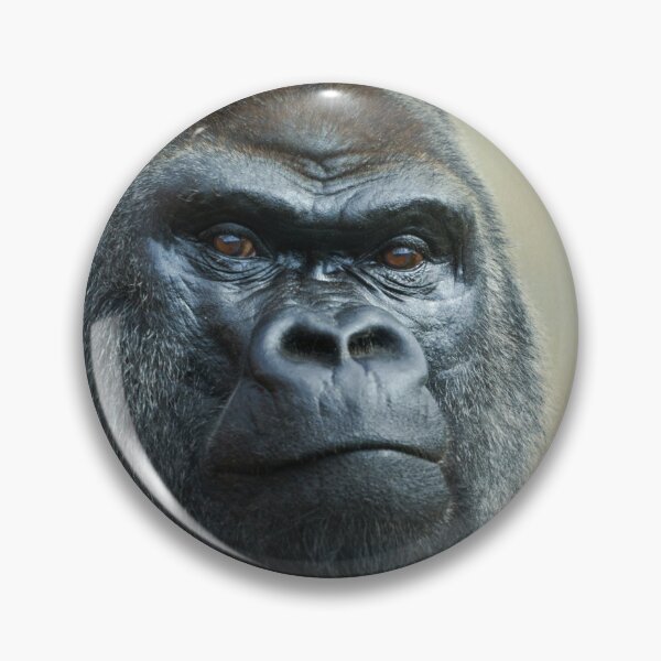 Item preview, Silverback Portrait designed and sold by rawshutterbug.