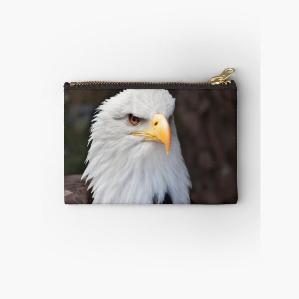 Artikelvorschau, Bald Eagle entworfen und verkauft von Shaun Whiteman.