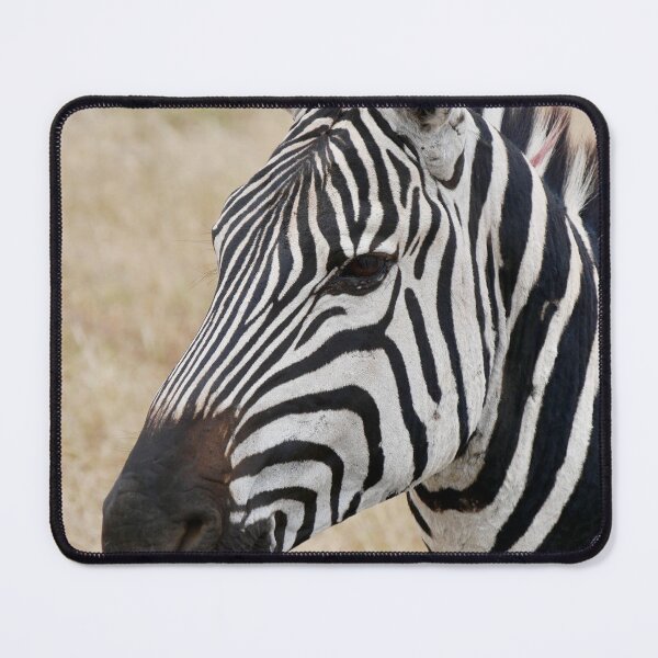 Item preview, Wild Zebra designed and sold by newburyboutique.