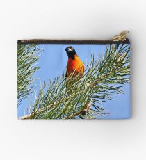 Baltimore Oriole Studio Pouch