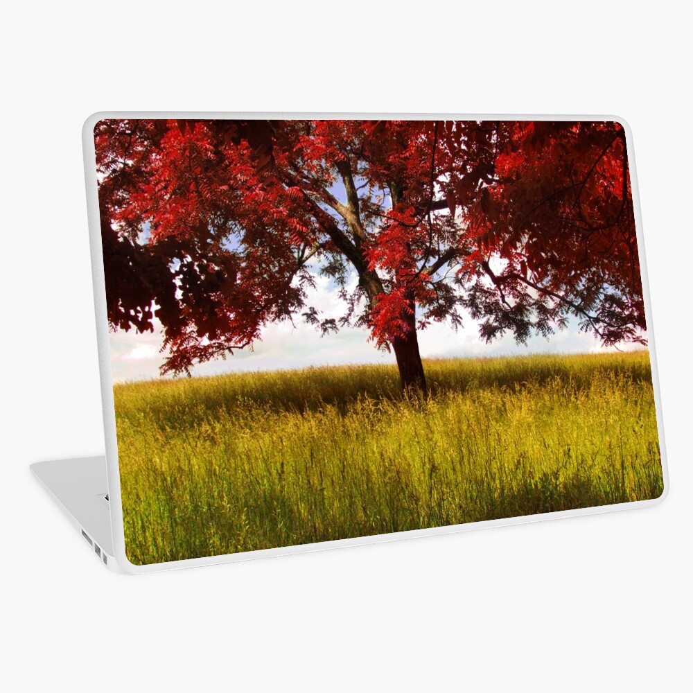 Item preview, Laptop Skin designed and sold by believer9.