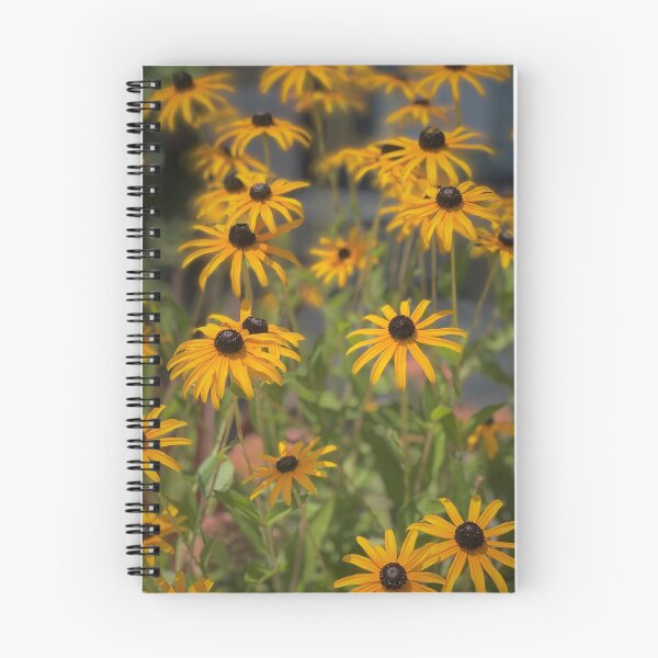 Item preview, Black eyed Susans  designed and sold by ArtByBinny.