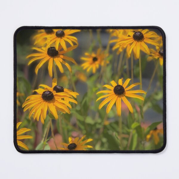 Item preview, Black eyed Susans  designed and sold by ArtByBinny.