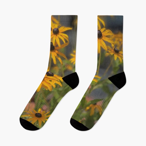 Item preview, Black eyed Susans  designed and sold by ArtByBinny.
