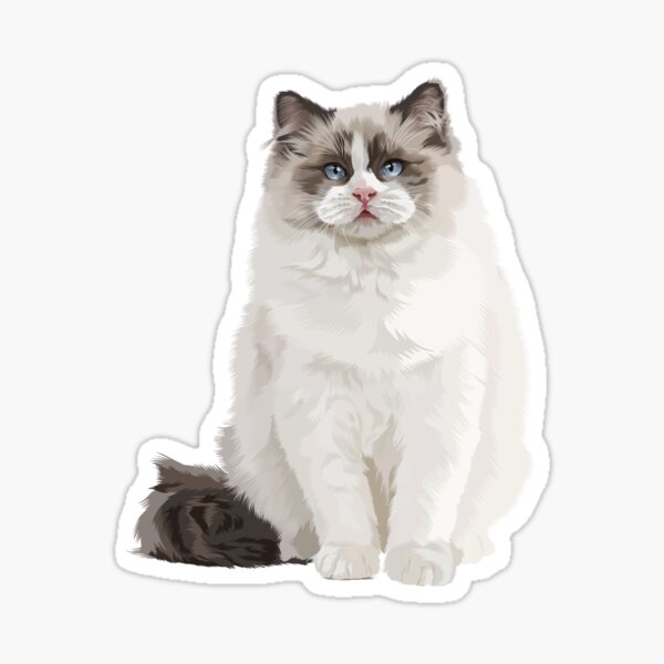 Ragdoll Cat Sticker by katdrawsit for iOS & Android