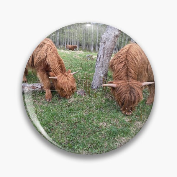 Artikelvorschau, Scottish Highland Cattle Calves 2843 entworfen und verkauft von SaarelaHighland.