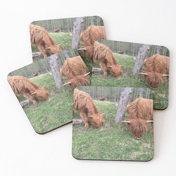 Item preview, Scottish Highland Cattle Calves 2843 designed and sold by SaarelaHighland.