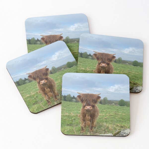 Item preview, Scottish Highland Cattle Calf 2847 designed and sold by SaarelaHighland.