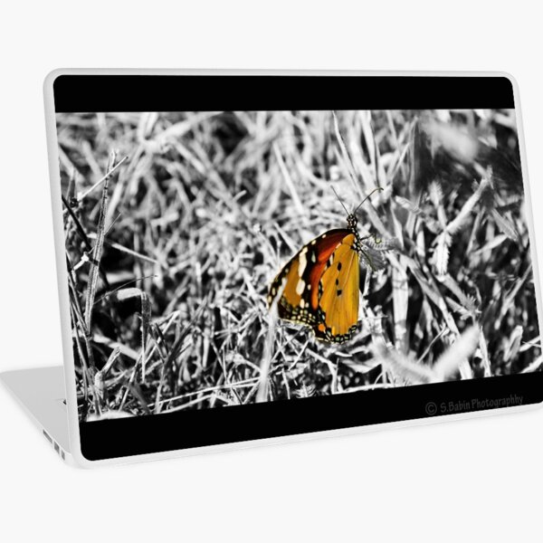 The Color of Truth is Grey Laptop Skin