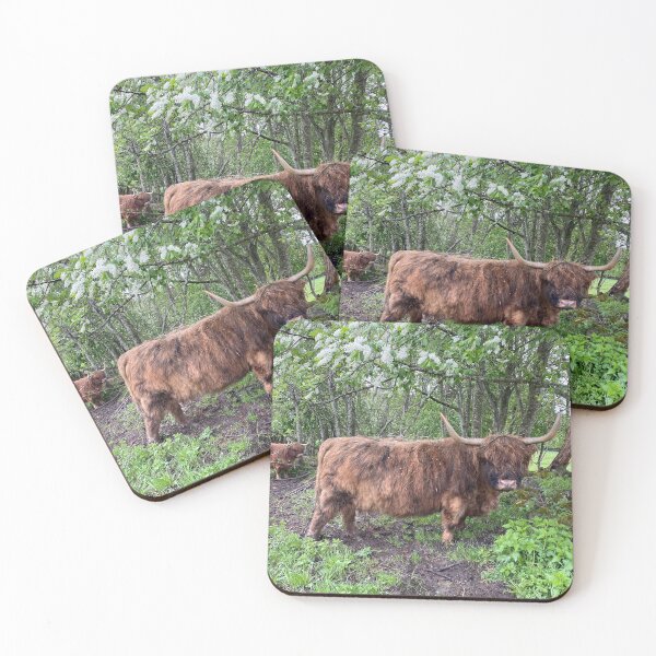 Artikelvorschau, Scottish Highland Cattle Cow 2853 entworfen und verkauft von SaarelaHighland.