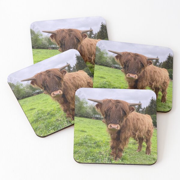 Item preview, Scottish Highland Cattle Calf 2856 designed and sold by SaarelaHighland.