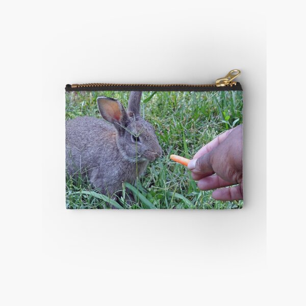 Item preview, a carrot failing the BunRab taste test miserably designed and sold by Lenny La Rue, IPA.