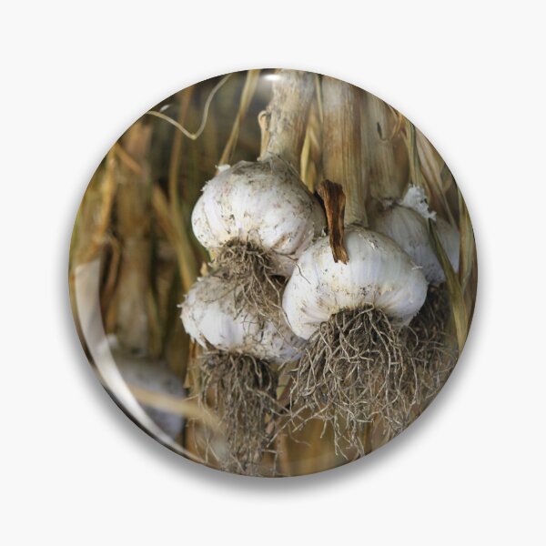 Item preview, Hanging Garlic (vert)  designed and sold by photoclique.