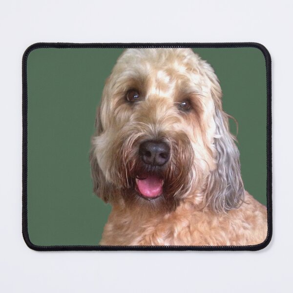 Item preview, Wheaton Terrier with Green Background designed and sold by KarenZuk.